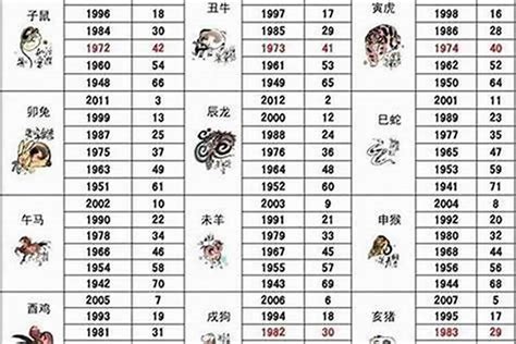 1963年属什么|1963年1月出生属什么生肖